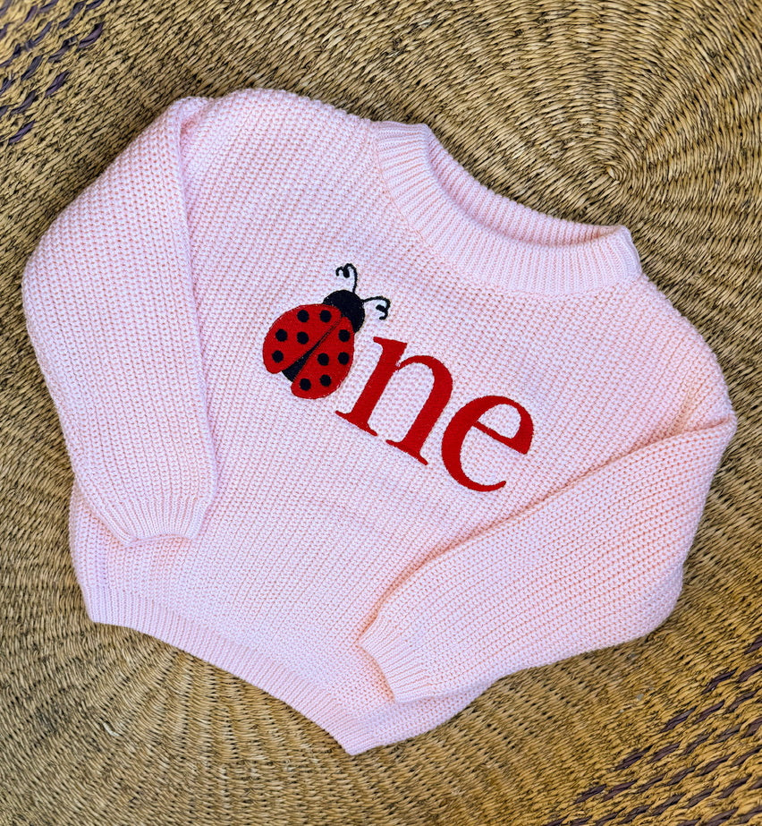 Custom Ladybug ONE Sweater - First Birthday Outfit