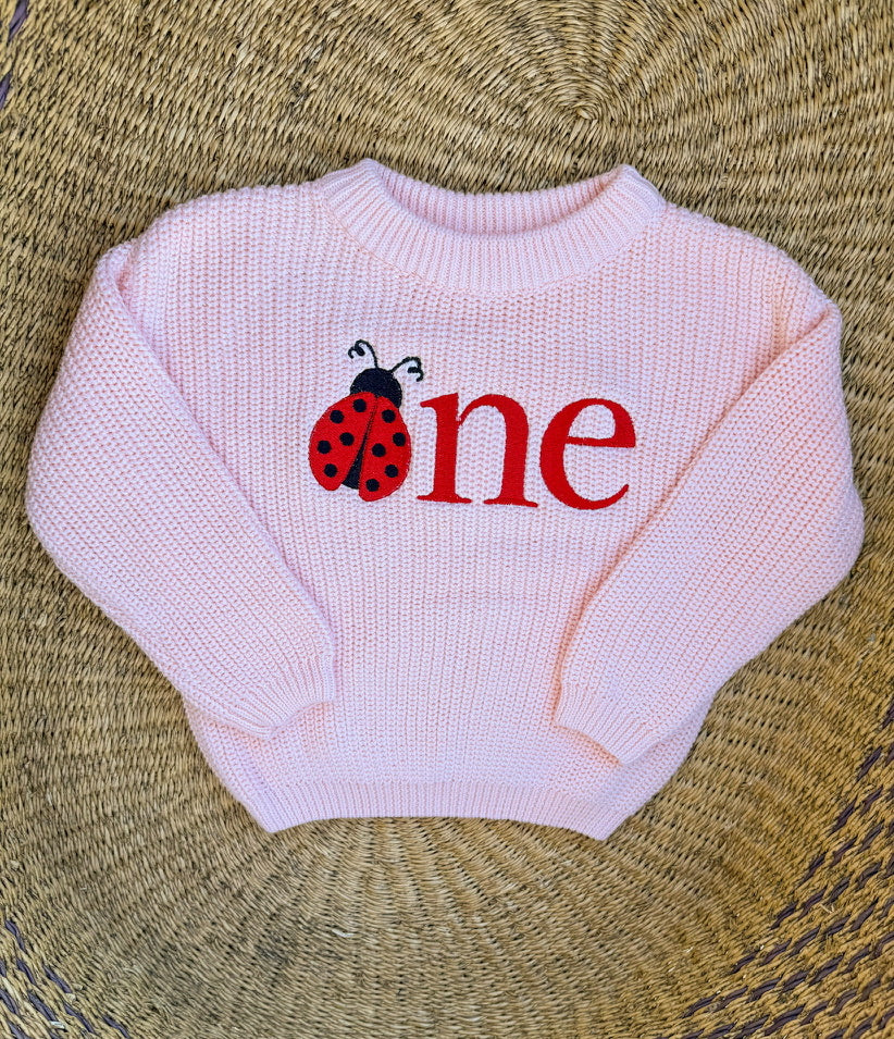 Custom Ladybug ONE Sweater - First Birthday Outfit