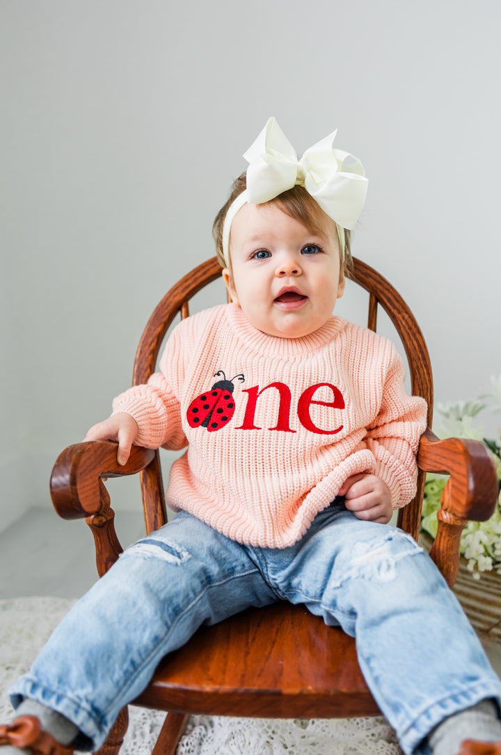 Ladybug ONE Sweater - First Birthday Outfit