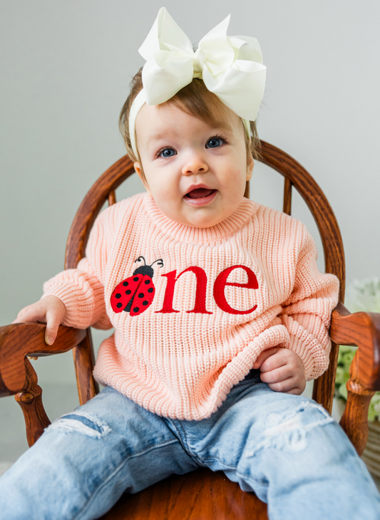 Custom Ladybug ONE Sweater - First Birthday Outfit