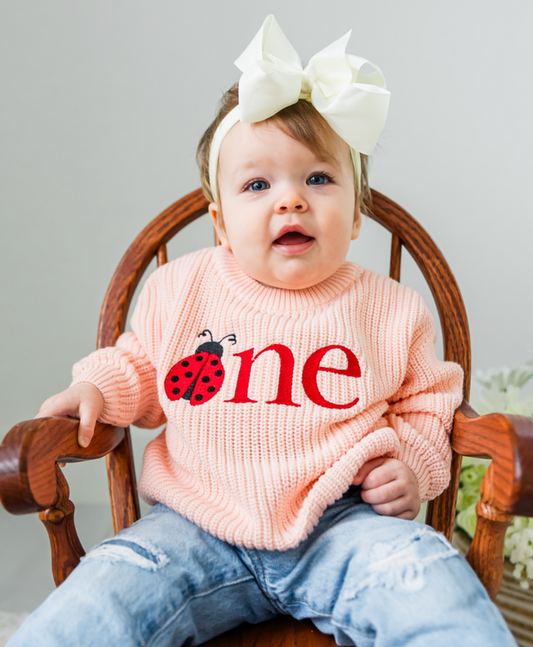 Custom Ladybug ONE Sweater - First Birthday Outfit