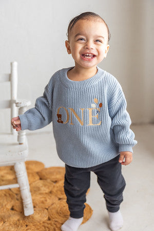 Beary First ONE Sweater - Kids First Birthday Outfit