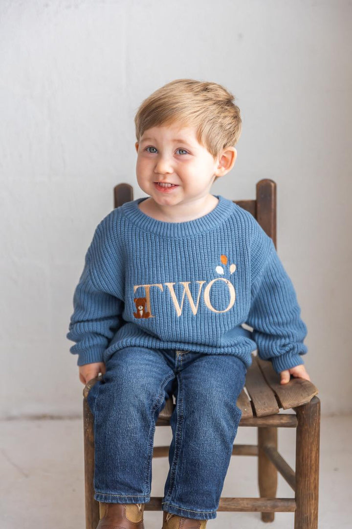 Beary Second Birthday Sweater - Bear Two Embroidered Birthday Outfit