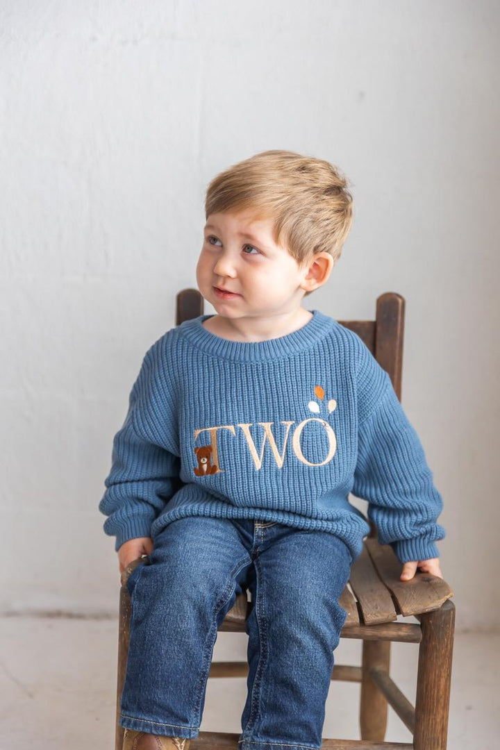 Beary Second Birthday Sweater - Bear Two Embroidered Birthday Outfit