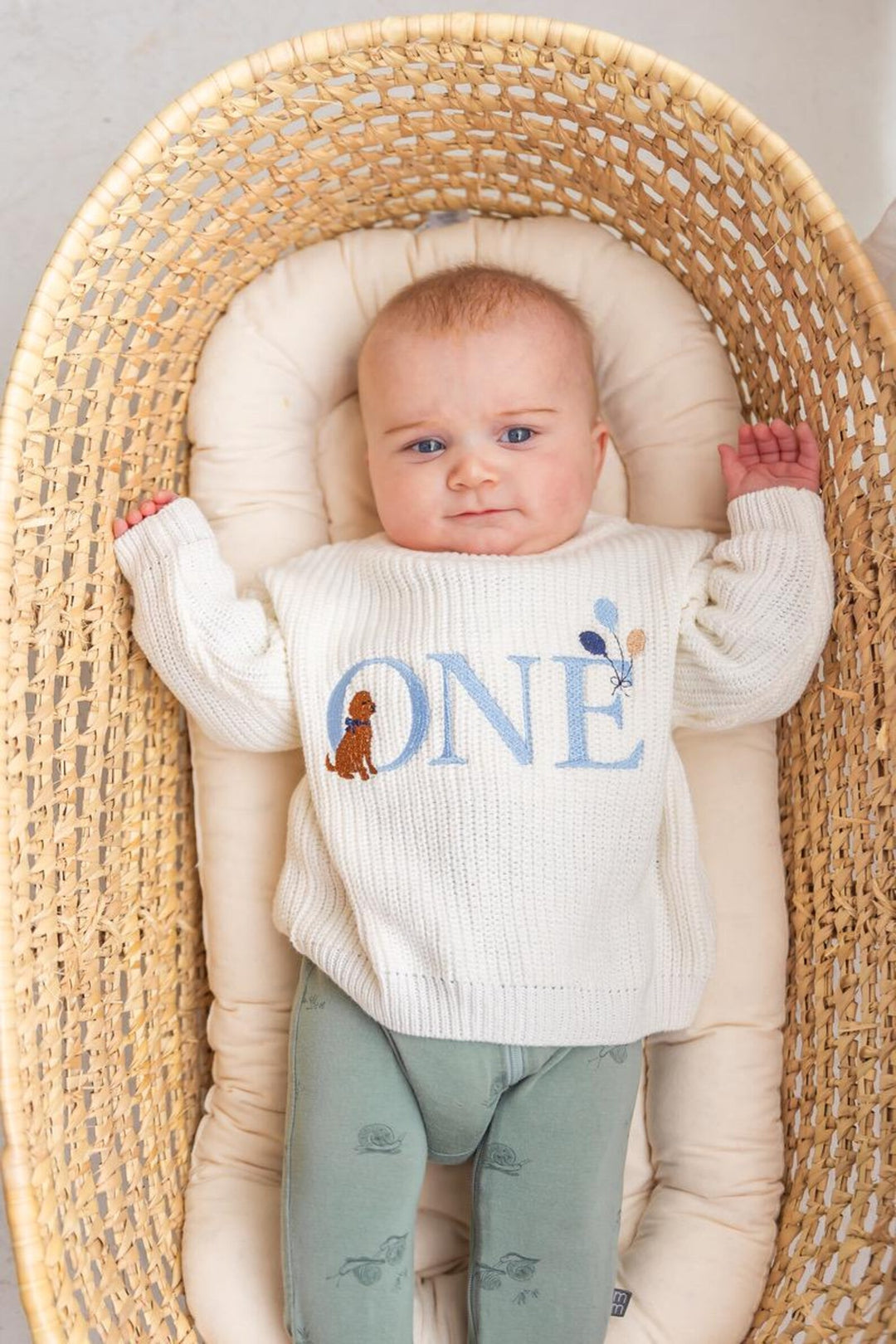 First Birthday Golden Doodle Kids Knit Sweater
