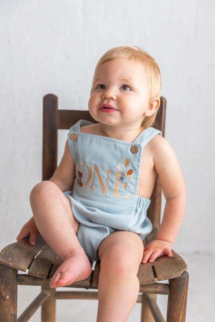 Beary First ONE Romper - Kids First Birthday Outfit
