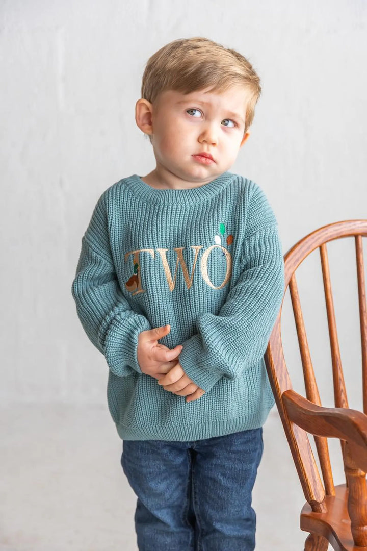 Duck Themed Second Birthday Sweater - Mallard “TWO” Embroidered Sweater