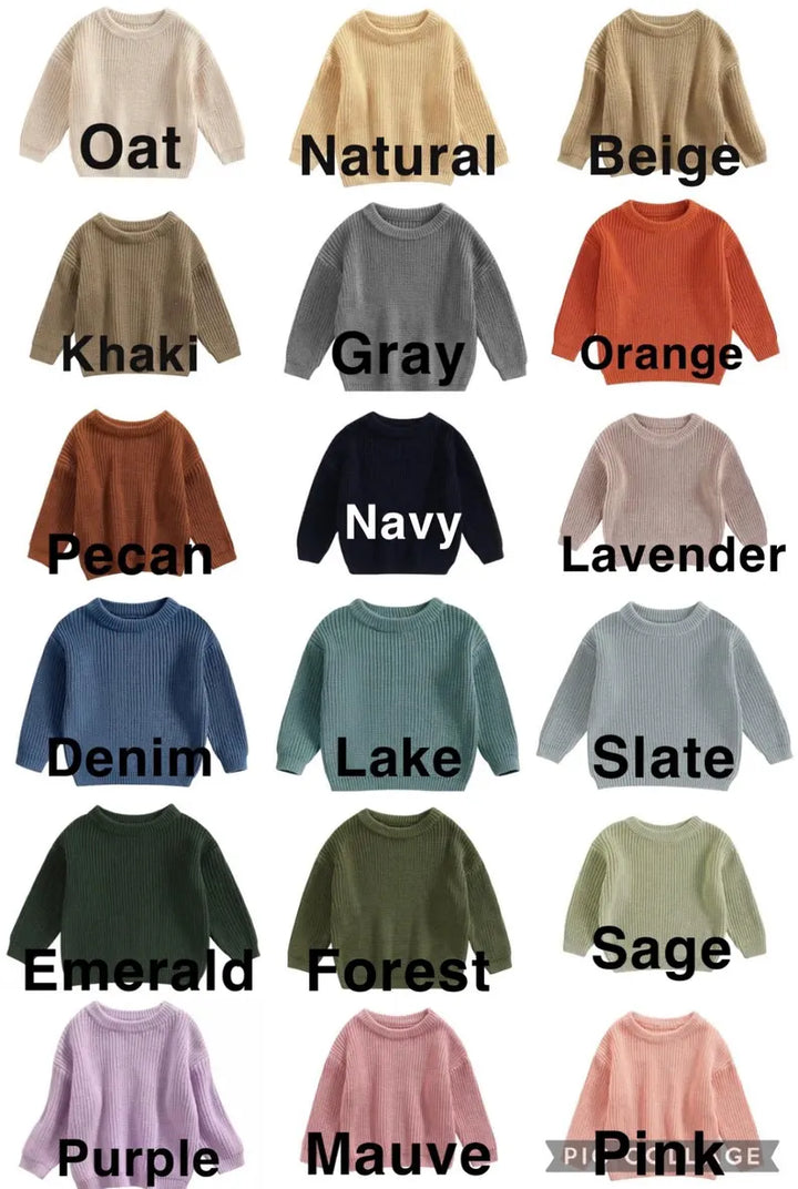 Lion ONE Sweater - First Birthday Outfit